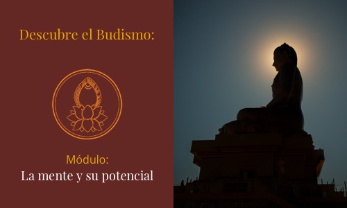 descubre-budismo-mente-potencial