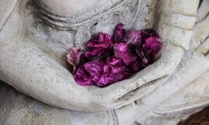 meditacion-calma-mental-enseñanzas